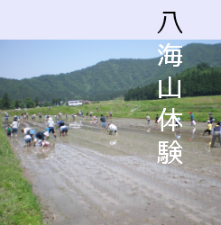 体験