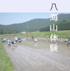 体験