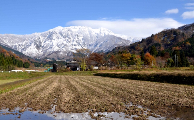 dsc_3902.jpg